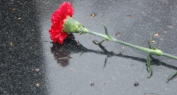 Цветок на дороге. Фото: сайт ГУ МВД по Ростовской области. http://61.mvd.ru/
