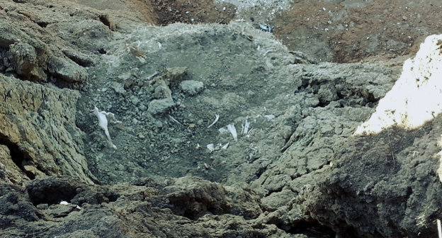 Скотомогильник, размытый морем, в 5 километрах от станицы Должанской Ейского района Краснодарского края. 1 сентября 2014 г. Фото: Экологическая Вахта по Северному Кавказу, ewnc.org/node/14894