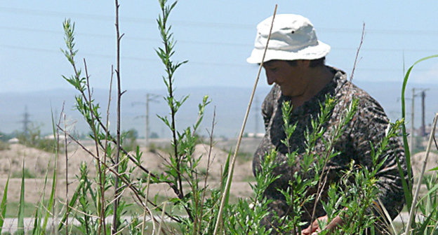Жительница села в Армении. Фото Армине Мартиросян для "Кавказского узла"