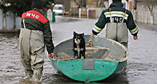 Спасательные работы в половодье. Фото из архива МЧС. http://www.61.mchs.gov.ru/operationalpage/emergency/detail.php?ID=27839 Спасательные работы в половодье. Фото из архива МЧС. http://www.61.mchs.gov.ru/operationalpage/emergency/detail.php?ID=27839