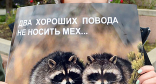 Плакат на акции в защиту животных. Фото Олега Пчелова для "Кавказского узла" Плакат на акции в защиту животных. Фото Олега Пчелова для "Кавказского узла"