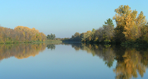 Волго-Ахтубинская пойма. Фото Ерика Каширина, https://upload.wikimedia.org/wikipedia/commons/thumb/1/1f/Erik_Kashirin._Volga-Akhtuba_floodplain.JPG/1280px-Erik_Kashirin._Volga-Akhtuba_floodplain.JPG