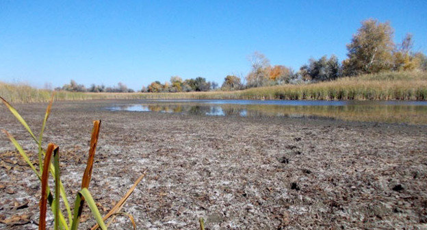 Озеро Васино, Волго-Ахтубинская пойма, окрестности поселка Тумак. Фото Вячеслава Ященко для "Кавказского узла"