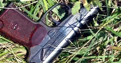 Пистолет. Фото http://nac.gov.ru/