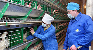 Реконструкция и модернизация птицеводческого комплекса птицезавода "Лабинский". Фото: http://invest-labinsk.ru/content/section/62/detail/484/labinvest@mail.ru