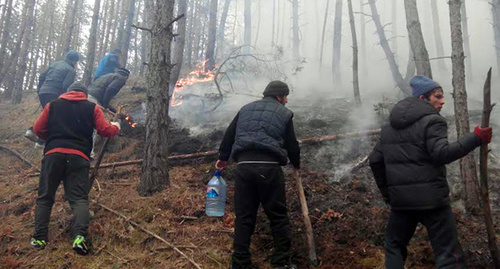 Местные жители пытаются локализовать лесной пожар.
Фото: Магомед Алибеков для "Кавказского узла"