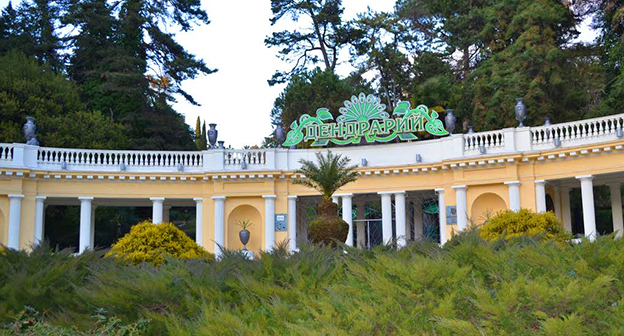 Вход в парк Дендрарий. Фото Светланы Кравченко для "Кавказского узла"