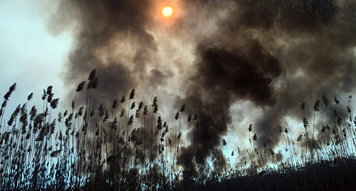 Пожары на Трёхизбинском участке
в Астраханском заповеднике. Фото: http://astrakhanzapoved.ru/wp-content/uploads/2015/02/IMG_2811-800x490.jpg
