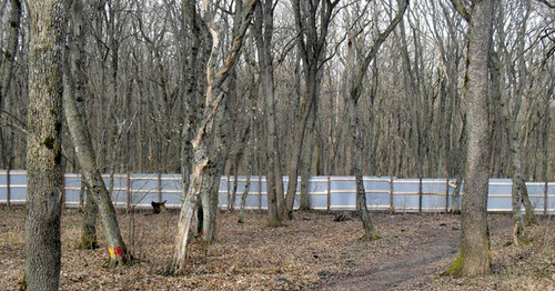 Строители огородили участок леса, против вырубки которого выступают местные жители. Ставрополь, 2 марта 2015 г. Фото Вячеслава Маркина