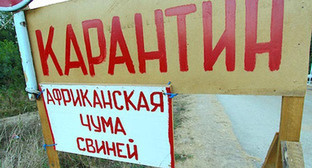 Самодельная табличка "Карантин". Фото: http://bloknot-volgograd.ru/thumb/640x0xcut/upload/iblock/d1d/y302025520032_a.jpg