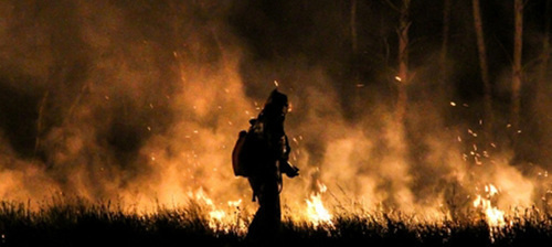 Борьба с огнём. Фото: http://www.34.mchs.gov.ru/pressroom/news/item/2683453/