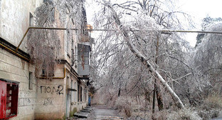 Деревья во льду. Краснодар. Фото Натальи Дорохиной для "Кавказского узла" Деревья во льду. Краснодар. Фото Натальи Дорохиной для "Кавказского узла"