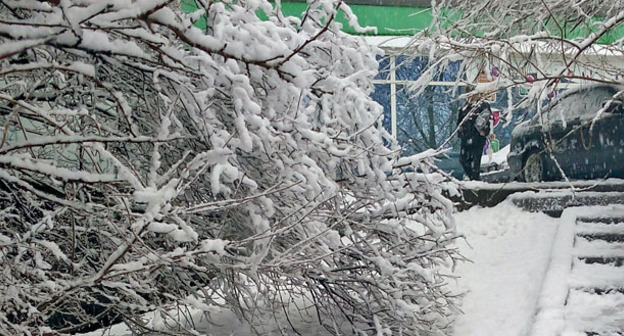 Мокрый снег. Фото Олега Пчелова для "Кавказского узла"