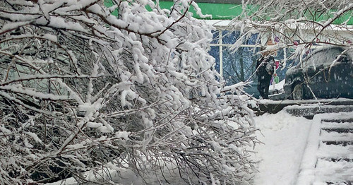 Мокрый снег. Фото Олега Пчелова для "Кавказского узла"