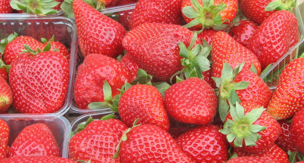 Клубника. Фото: Dudkaa ss https://ru.wikipedia.org/