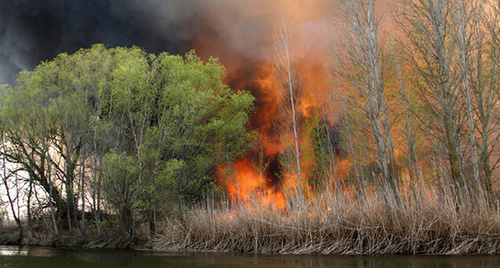 Пожар в заповеднике. Фото: http://astrakhanzapoved.ru/