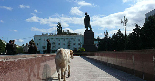 Площадь Ленина, Махачкала. Фото Ахмеднаби Ахмеднабиева для "Кавказского узла"