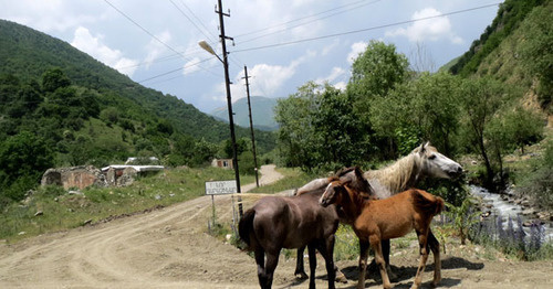 Отрезок дороги Варденис-Мартакерт в Мартакертском районе Нагорного Карабаха. 20 июня 2015 г. Фото Алвард Григорян для "Кавказского узла" Отрезок дороги Варденис-Мартакерт в Мартакертском районе Нагорного Карабаха. 20 июня 2015 г. Фото Алвард Григорян для "Кавказского узла"