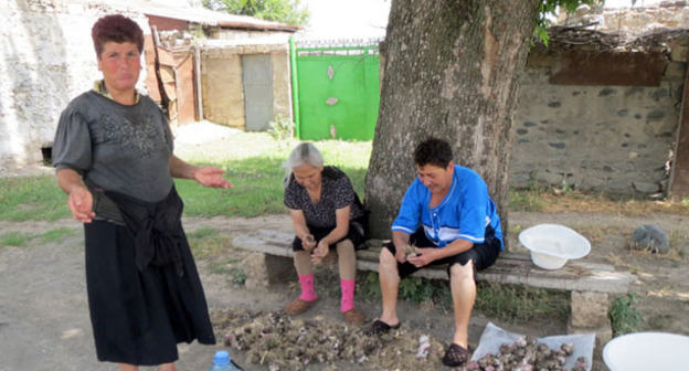 Жители приграничного села Талиш утверждают, что уже не обращают внимания, когда до них доносятся звуки выстрелов. Нагорный Карабах, Мартакертский район, июнь 2014 г. Фото Алвард Григорян для "Кавказского узла"