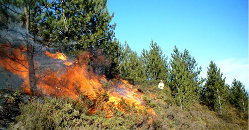 Пожар. Фото http://vesti.az/category/20