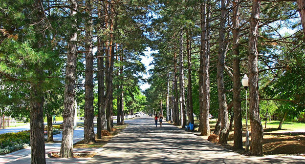 Горячий Ключ. Краснодарский край. Фото: Vadim Tolbatov https://ru.wikipedia.org