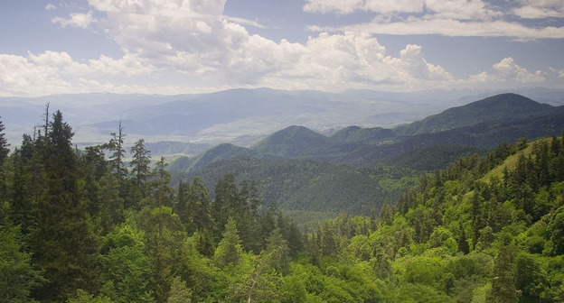 Национальный парк Боржоми-Харагаули. Фото: Polscience at en.wikipedia https://ru.wikipedia.org/