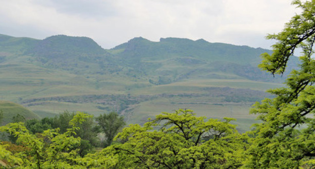Горно-лесистая местность в Дагестане. Фото Магомеда Магомедова для "Кавказского узла"