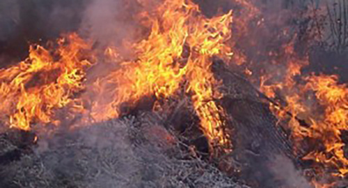 Пожар в лесу. Фото: http://www.newsgeorgia.ge/pozhar-na-vostoke-gruzii-gorit-40-domov-est-postradavshie-tv/