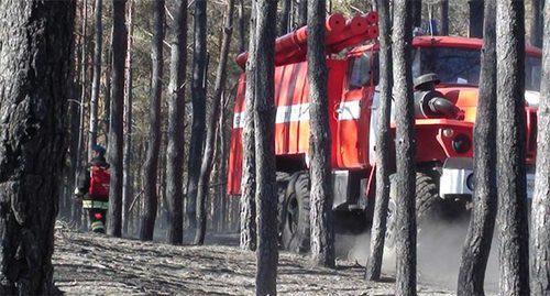 Пожарная машина в лесу ростовской области. Фото: http://61.mchs.gov.ru/operationalpage/operational/item/3114379/