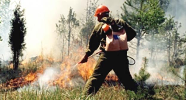 Ликвидация лесного пожара. Фото: http://09.mchs.gov.ru/operationalpage/operational/item/3131757/