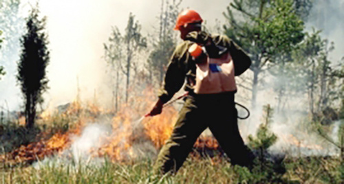 Ликвидация лесного пожара. Фото: http://09.mchs.gov.ru/operationalpage/operational/item/3131757/