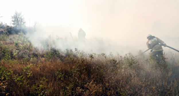 Лесной пожар в Серафимовичском районе Волгоградской области . Фото: http://34.mchs.gov.ru/pressroom/news/item/3135379/
