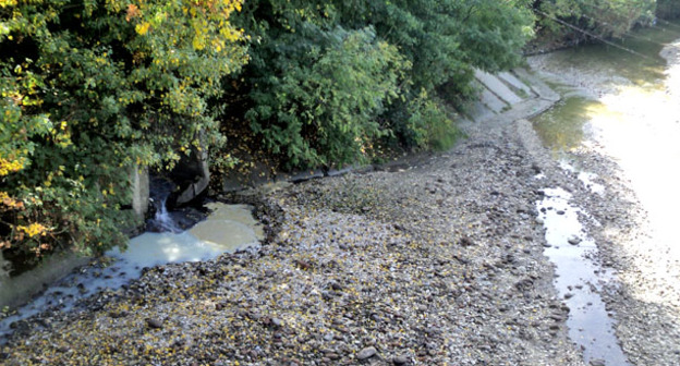 Загрязнение воды в реке Шалушка на окраине Нальчика. Октябрь 2015 г. Фото Людмилы Маратовой для "Кавказского узла"