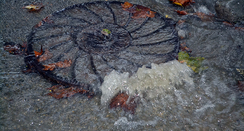 Забитая ливневая канализация на улице Туапсинская. Фото Светланы Кравченко для "Кавказского узла"