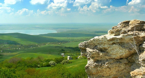 Природный заказник Беспутская поляна. Фото: http://www.shmr.ru/city/