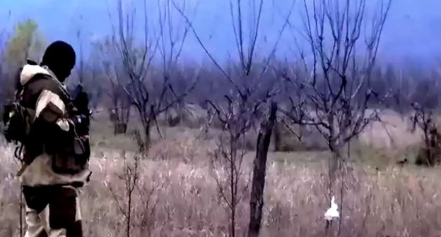 Спецоперация. Фото http://nac.gov.ru/