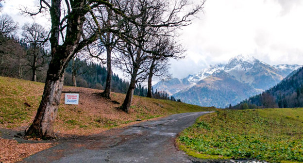 Абхазия. Фото Елены Синеок Юга.ру