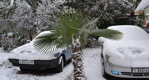 Машины завалены снегом. Фото: Светланы Кравченко для Кавказского узла"