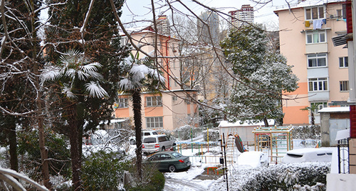 Заснеженный двор в Сочи. Фото: Светланы Кравченко для Кавказского узла" Заснеженный двор в Сочи. Фото: Светланы Кравченко для Кавказского узла"