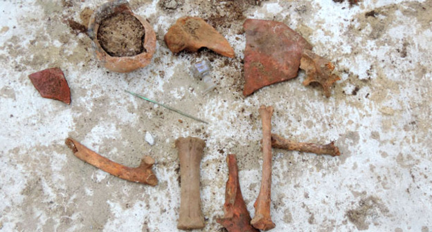 Артефакты, найденные правозащитниками на месте котлована под фундамент храма, относятся к концу XIX века. Фото предоставлено Евгением Кругловым