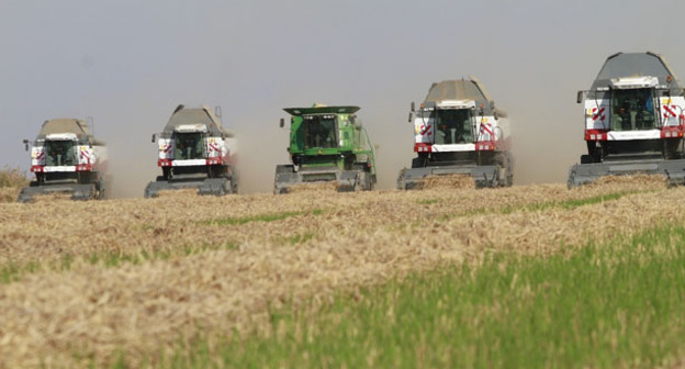 Уборка урожая. Фото: Геннадий Аносов / Югополис