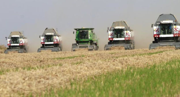Земля сельхозназначения. Фото: Геннадий Аносов / Югополис