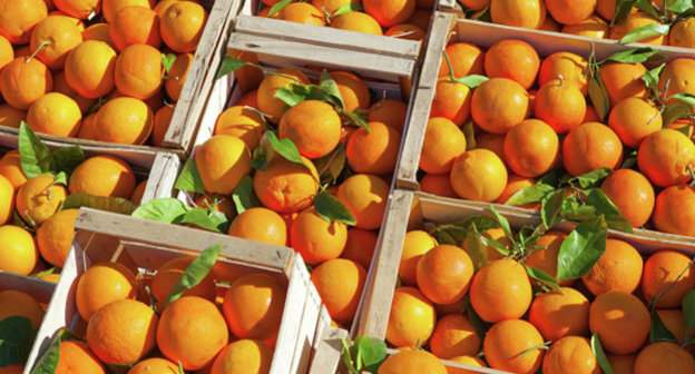 Ящики с апельсинами. Фото: http://www.99news.ru/obschestvo/3327-rosselhoznadzor-ne-pustil-v-rossiyu-bolee-50-tonn-apelsinov-iz-egipta.html