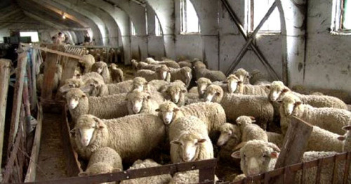 Фермерское хозяйство. Дагестан. Фото http://www.riadagestan.ru/