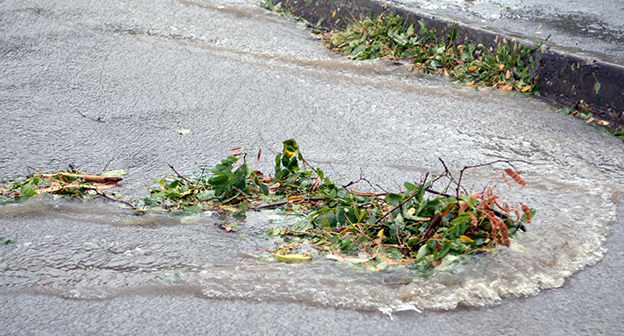 Поток воды на асфальте. Фото Вячеслава Ященко для "Кавказского узла"