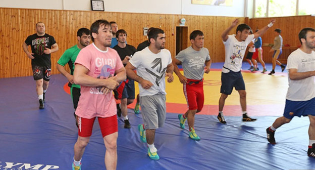 Спортсмены сборной Дагестана по вольной борьбе во время тренировки. Фото http://www.riadagestan.ru/