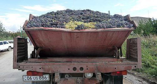 Машина с виноградом. Армения, октябрь 2015 г. Фото Армине Мартиросян для "Кавказского узла"