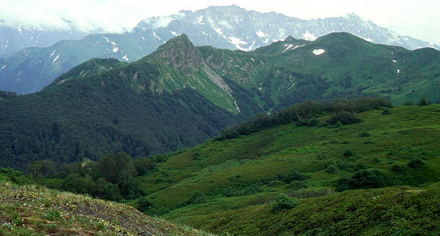 Гора Большая Чура. Фото: http://sochi.scapp.ru/scapp-mesta/gory-sochi-2/