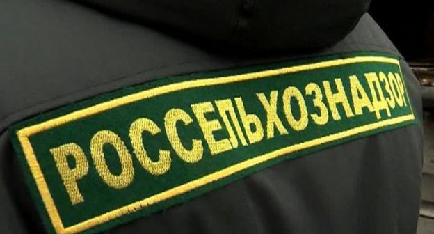 Надпись на форменной одежде "Россельхознадзор" Фото: marielart.ru. 