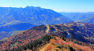 Сочинский заказник. Фото: SKas https://ru.wikipedia.org/ Сочинский заказник. Фото: SKas https://ru.wikipedia.org/